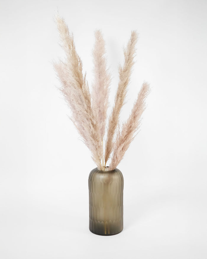 Nyx